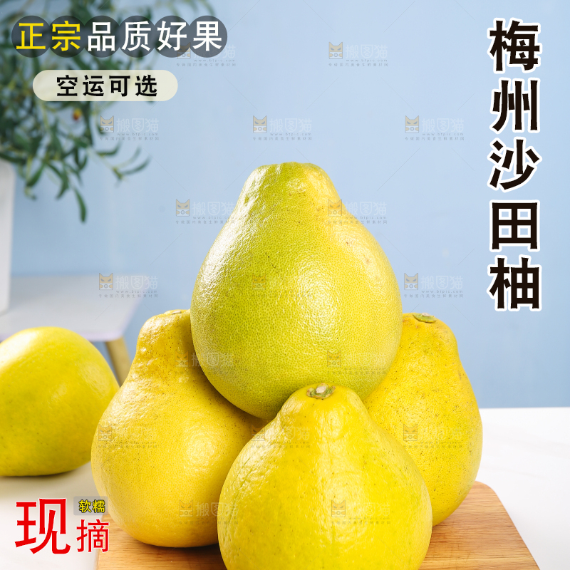 浅底上的沙田柚