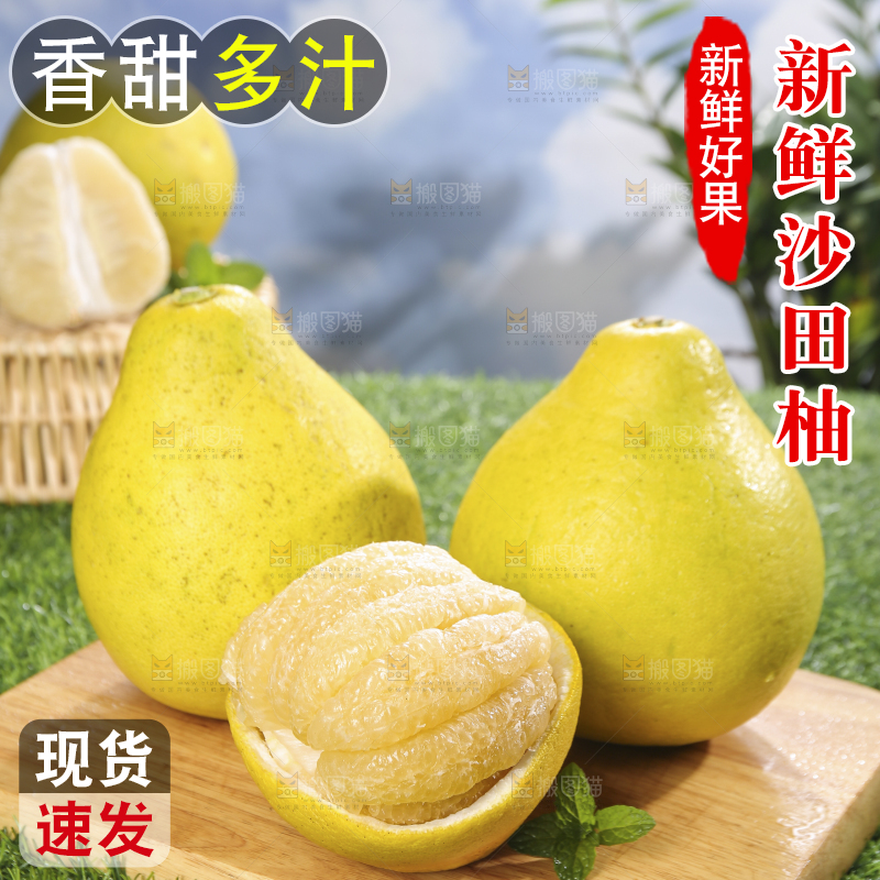 浅底上的沙田柚