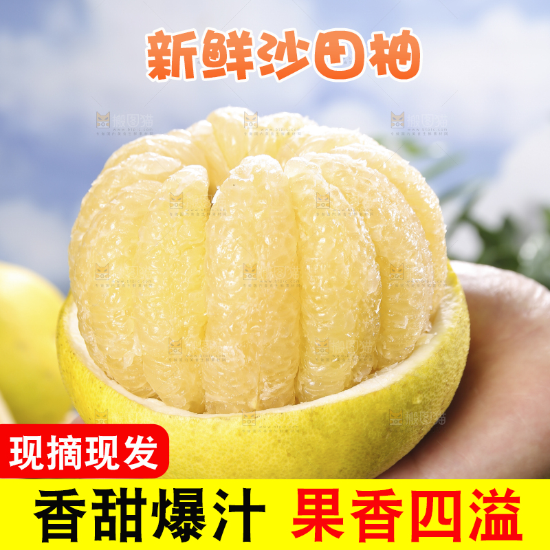 浅底上的沙田柚