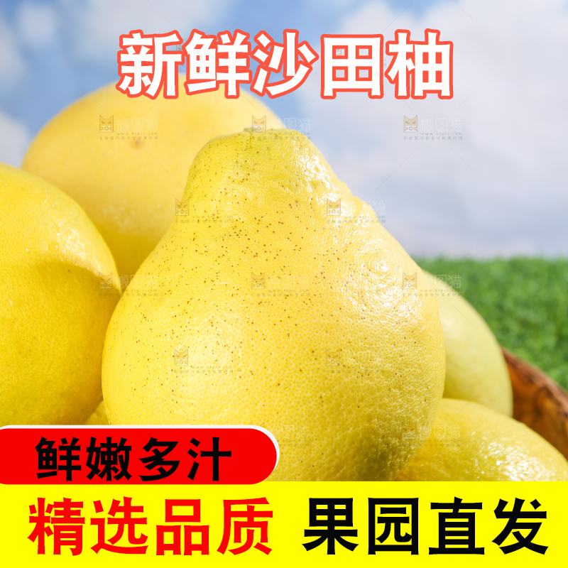 浅底上的沙田柚