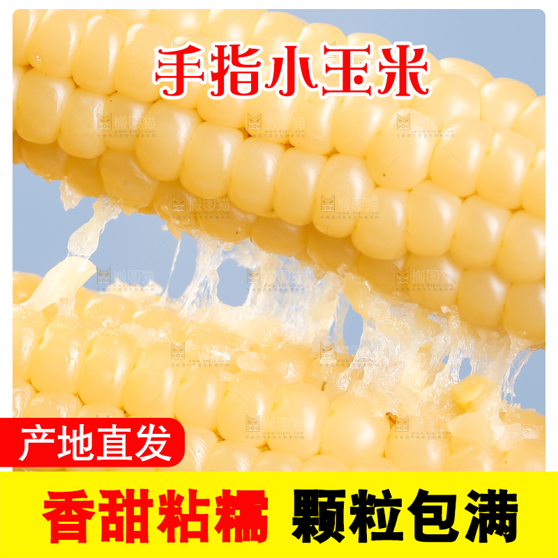 浅底上的手指糯玉米