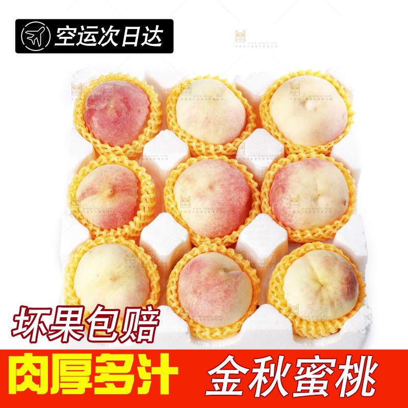 白底上的金秋红蜜桃
