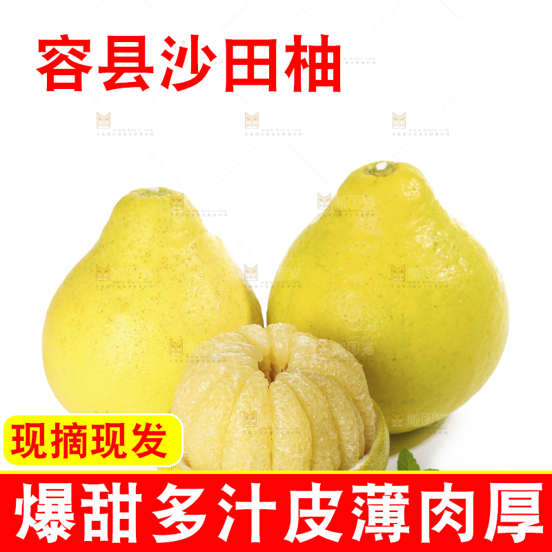 白底上的沙田柚