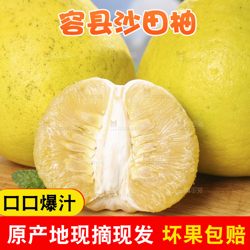 浅底上的沙田柚