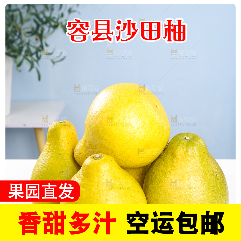 浅底上的沙田柚