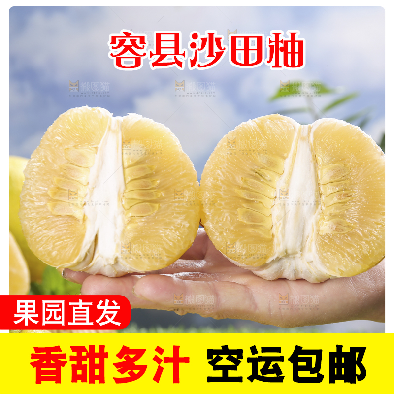 浅底上的沙田柚