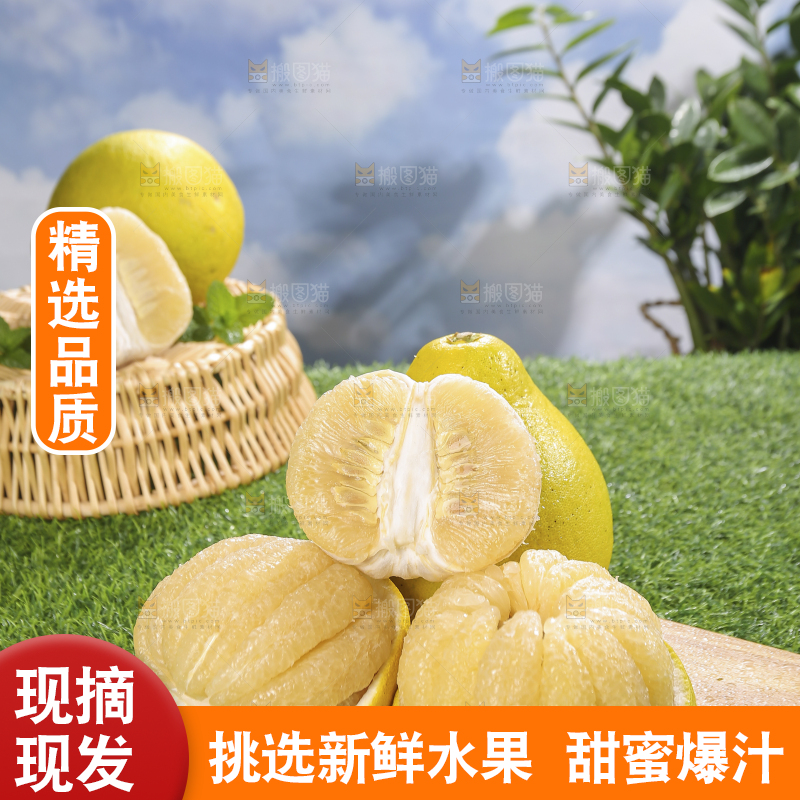 浅底上的沙田柚