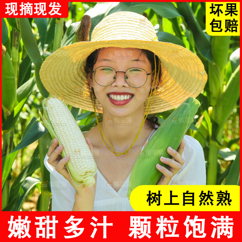手里拿着牛奶玉米