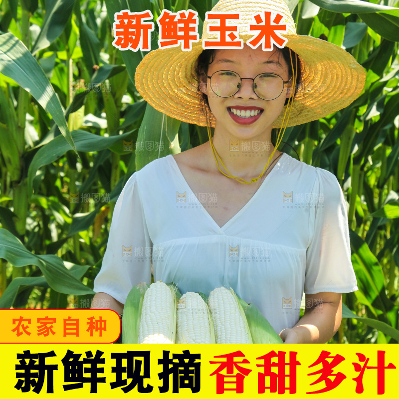 手里拿着牛奶玉米