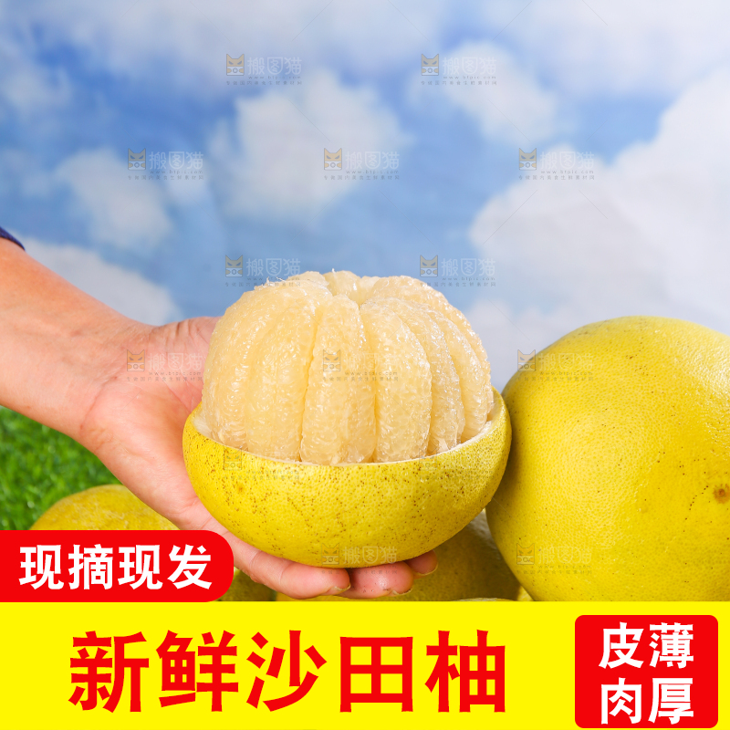 浅底上的沙田柚