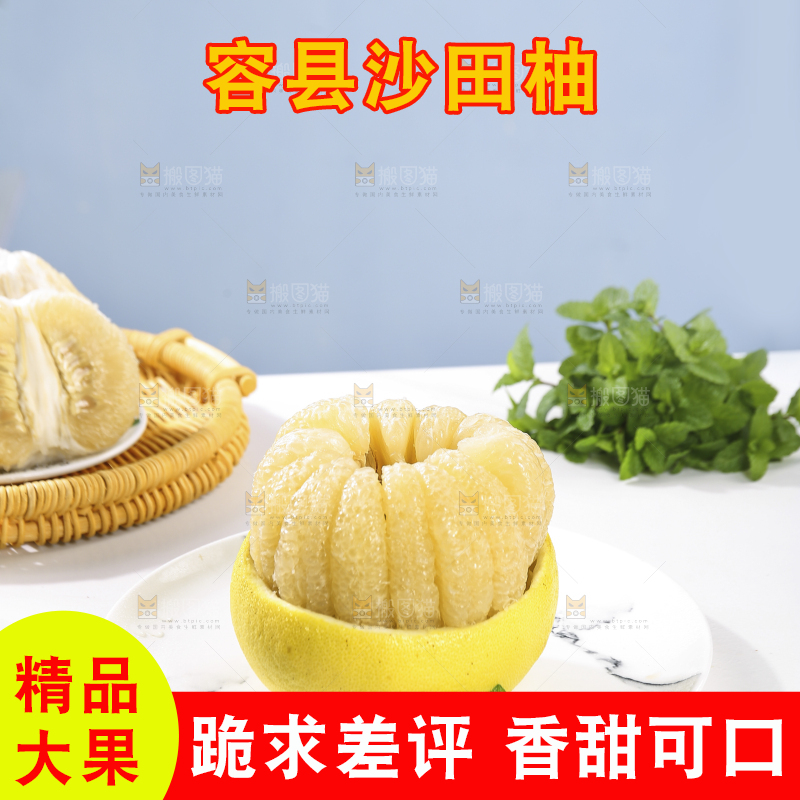 浅底上的沙田柚