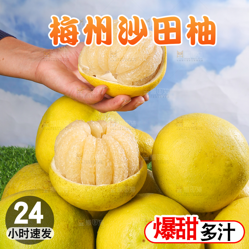 浅底上的沙田柚
