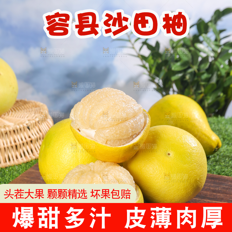 浅底上的沙田柚