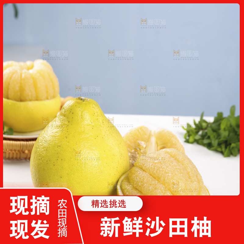 浅底上的沙田柚