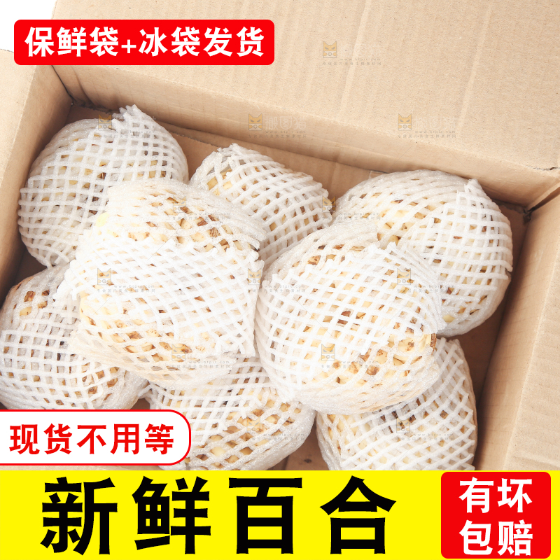 白底上的新鲜百合