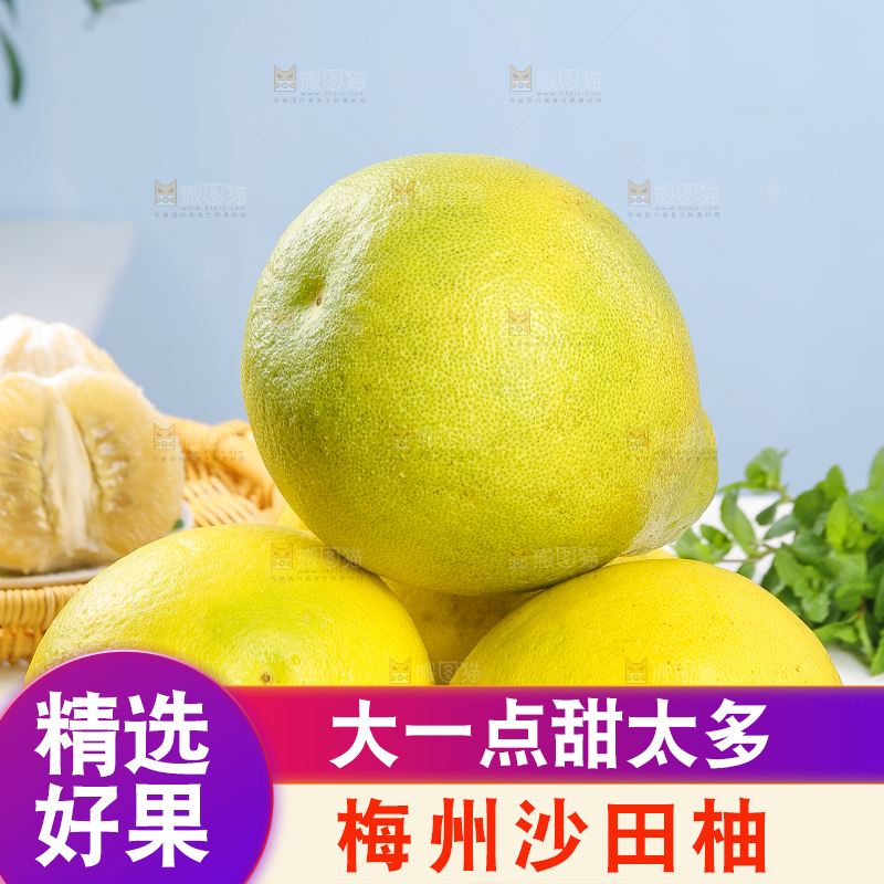 浅底上的沙田柚