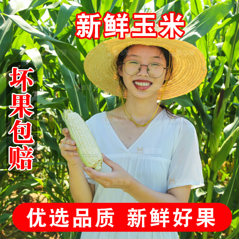 手里拿着牛奶玉米