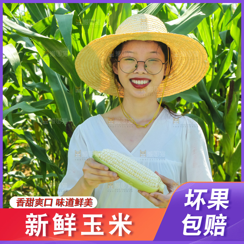 手里拿着牛奶玉米