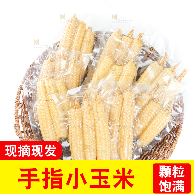 白底上的手指糯玉米