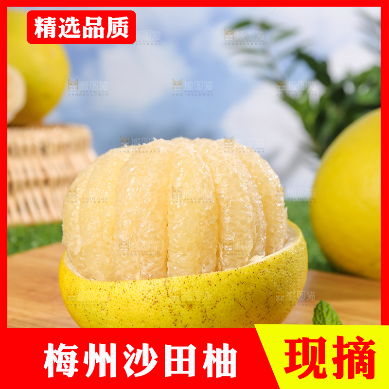 浅底上的沙田柚