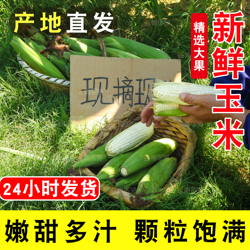 手里拿着牛奶玉米