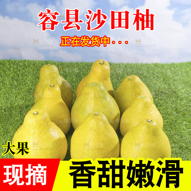 浅底上的沙田柚