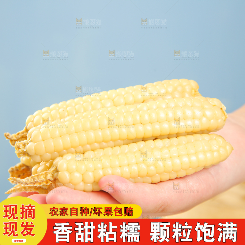 浅底上的手指糯玉米