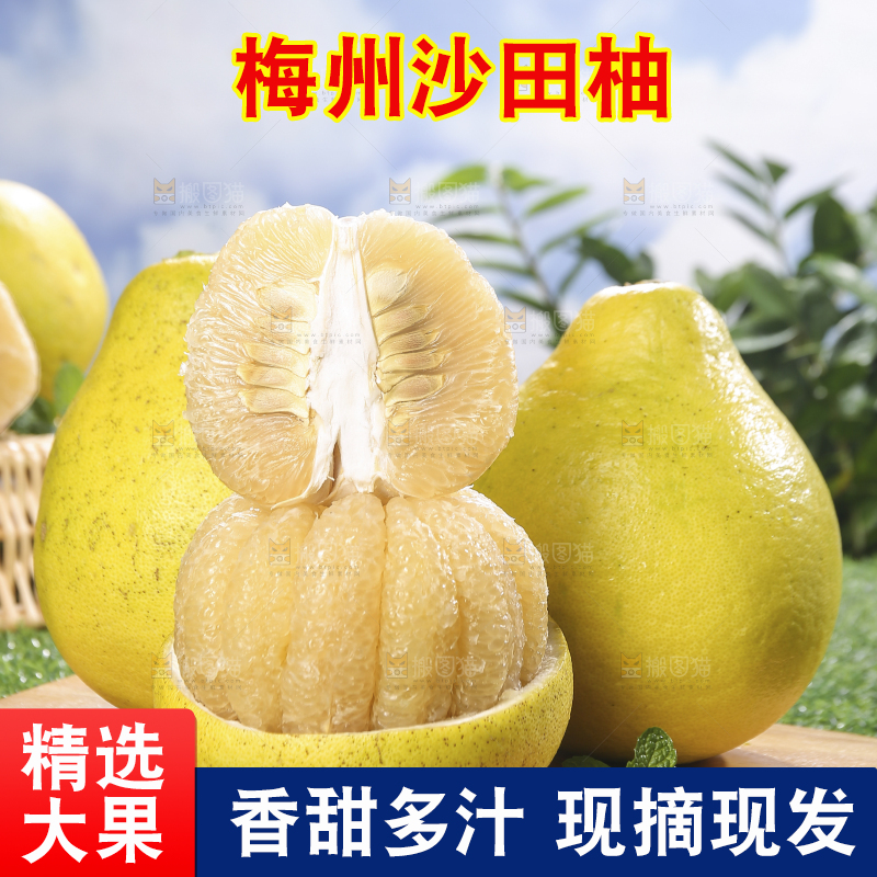 浅底上的沙田柚
