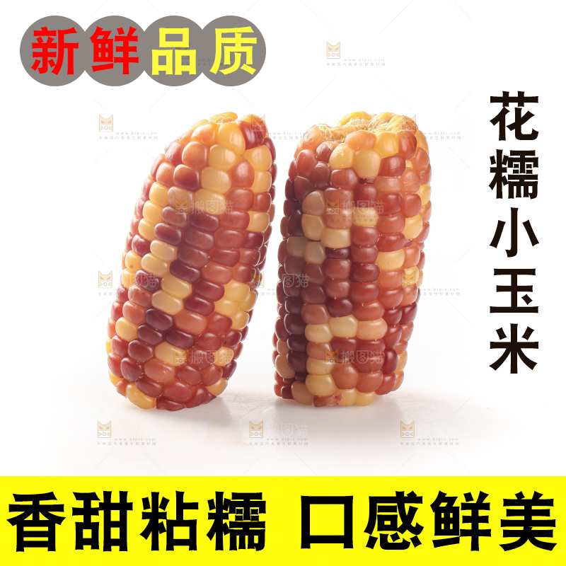 白底上的小花糯玉米