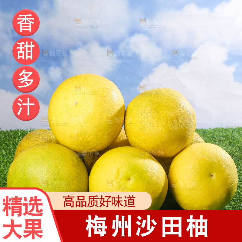 浅底上的沙田柚