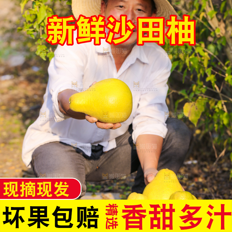手里拿着沙田柚