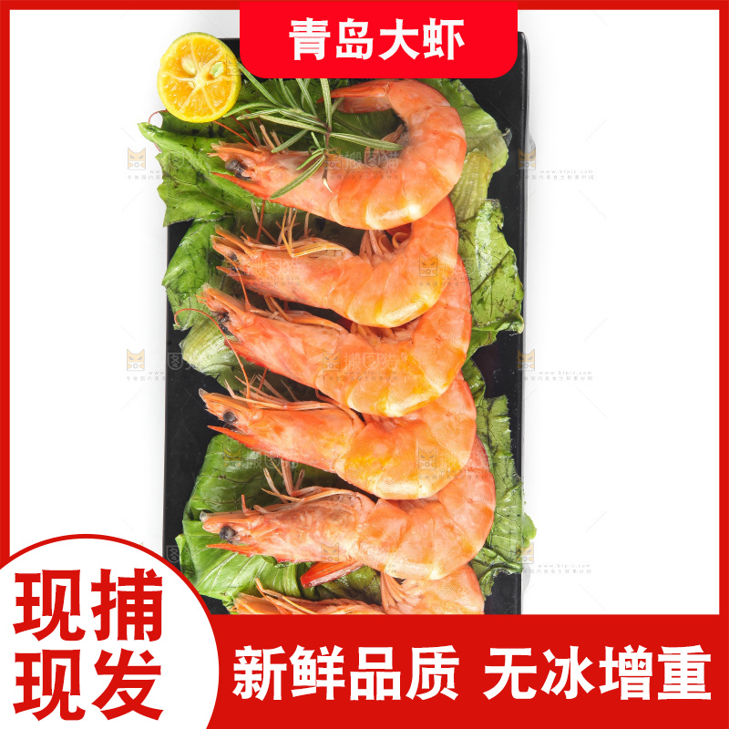 白底上的大虾