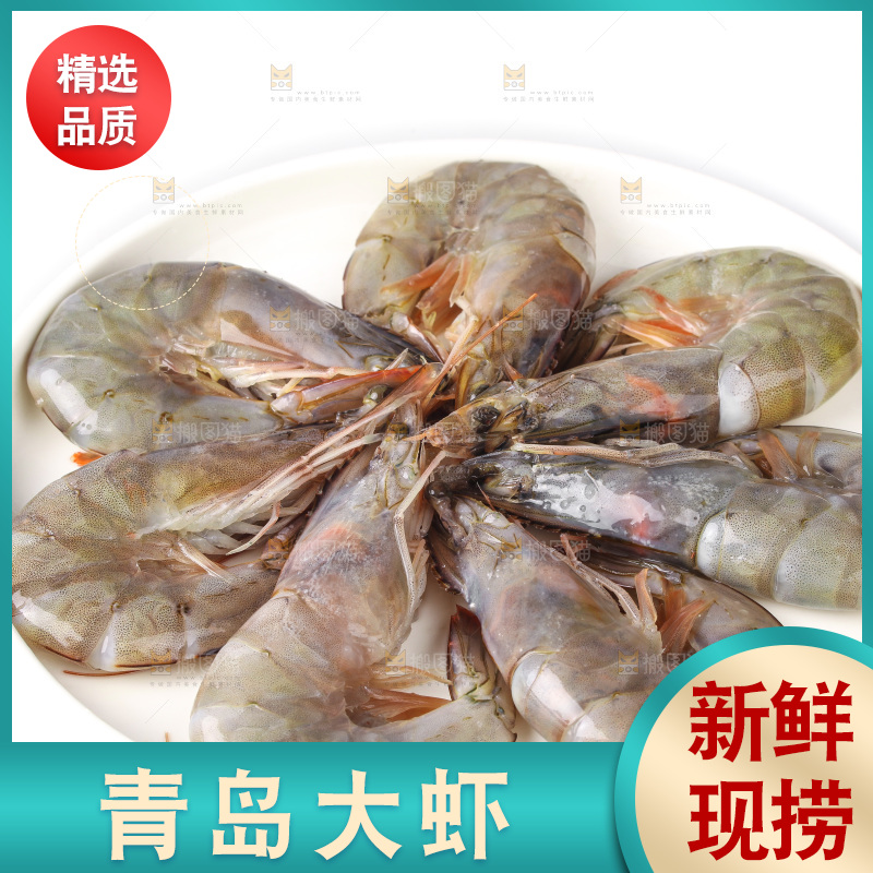 白底上的大虾