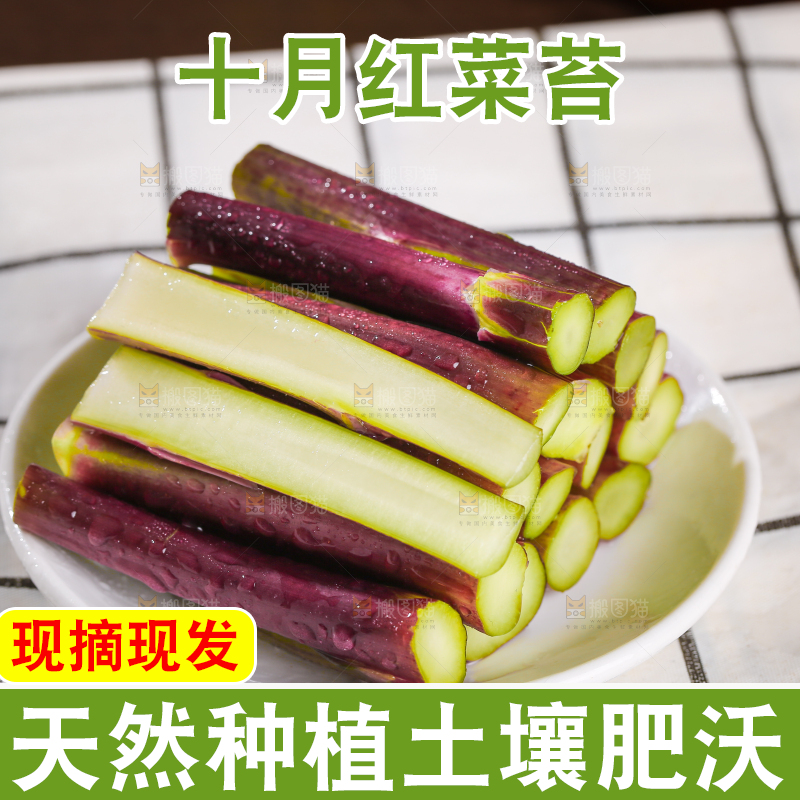 浅底上的红菜苔