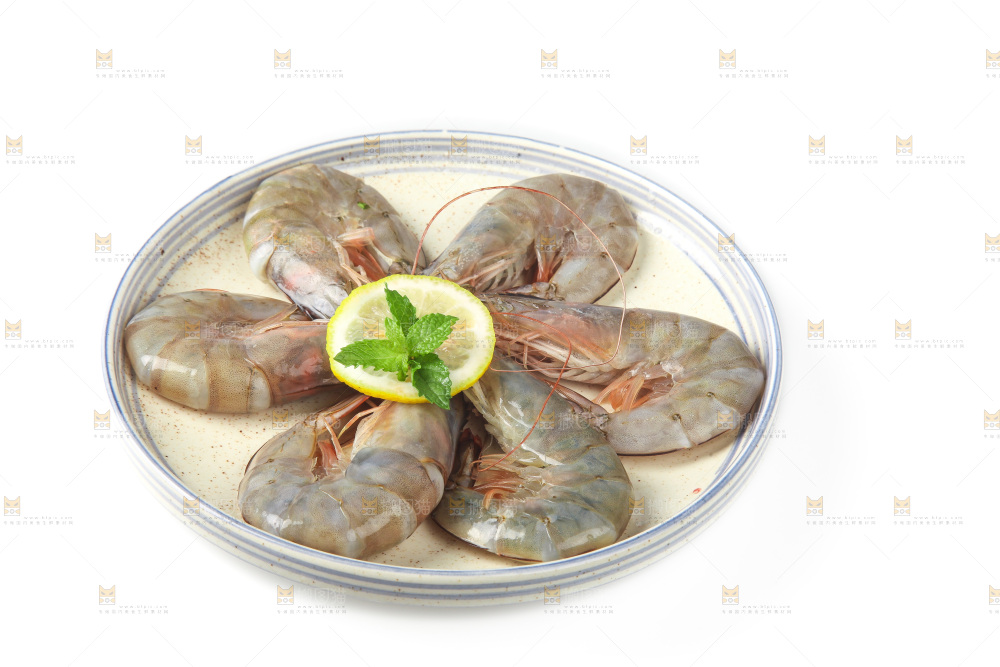 白底上的大虾