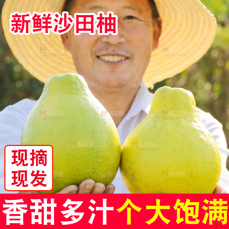 手里拿着沙田柚