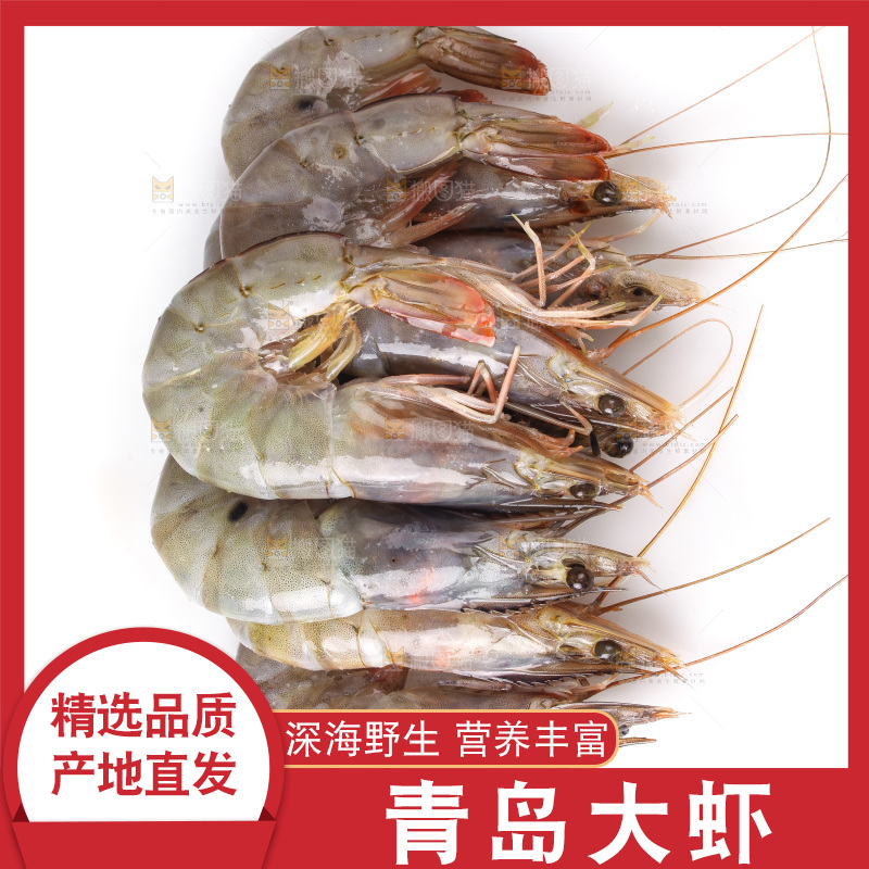 白底上的大虾