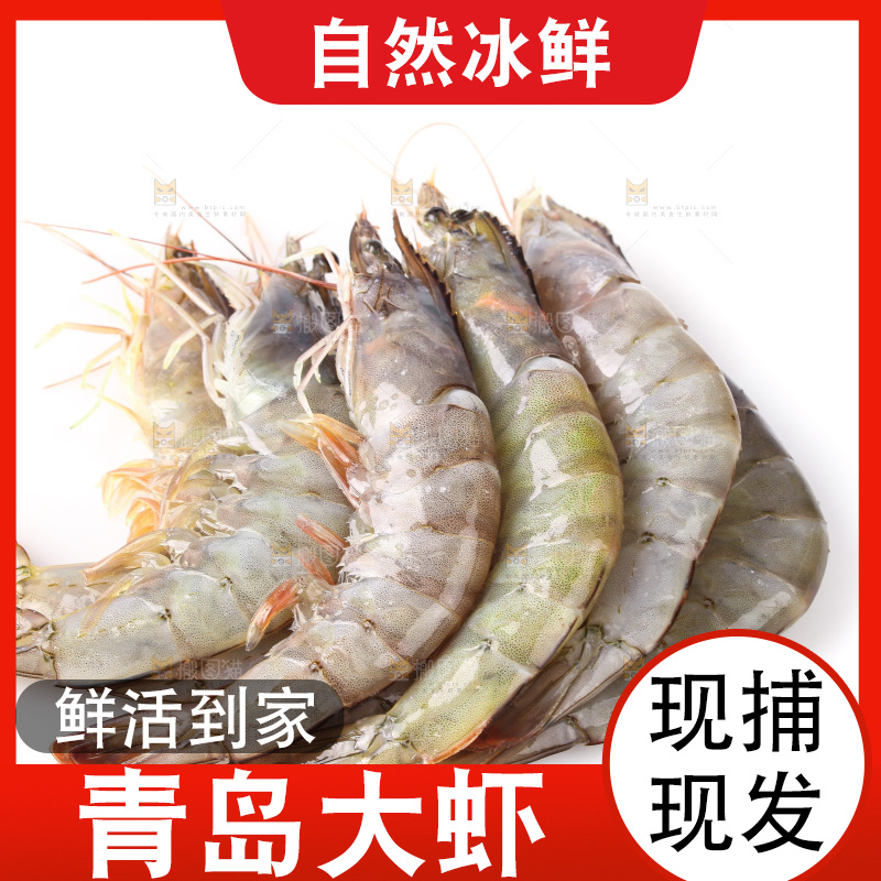 白底上的大虾