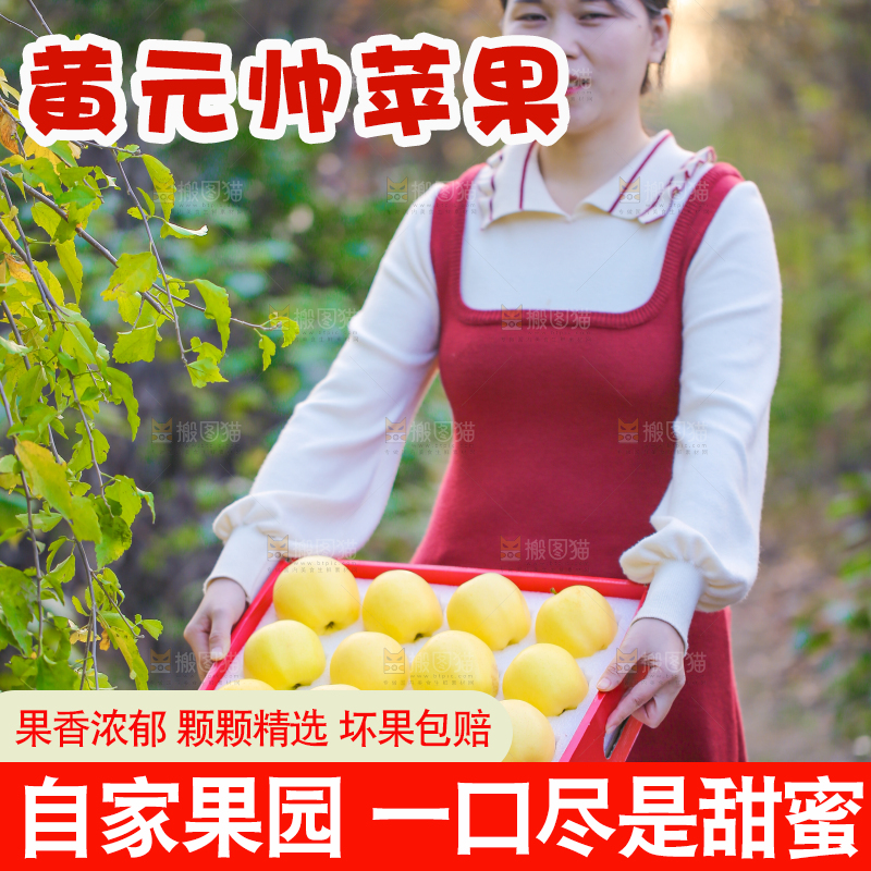 手里拿着黄元帅苹果