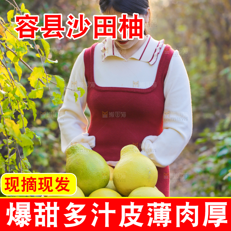 手里拿着沙田柚