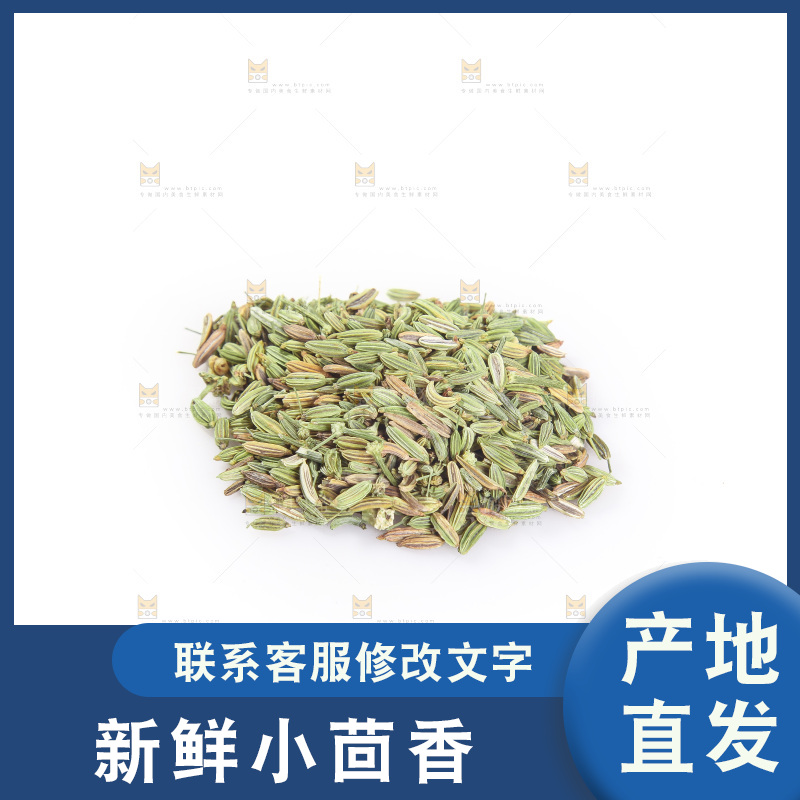 白底上的小茴香籽
