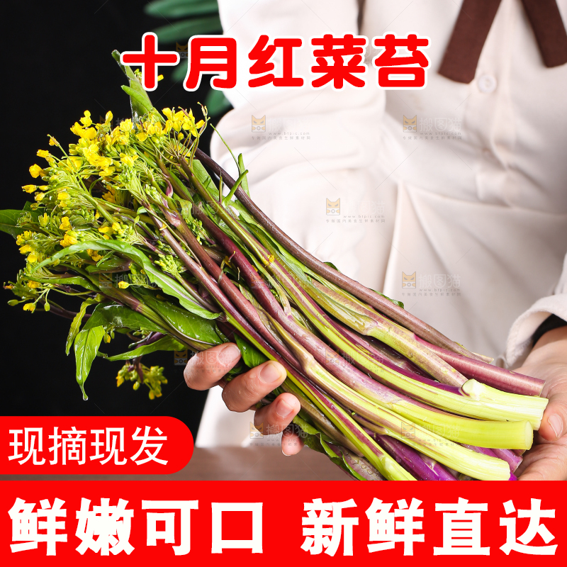 深底上的红菜苔