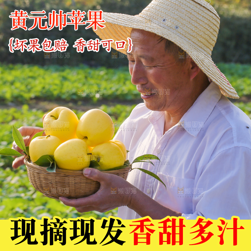 手里拿着黄元帅苹果