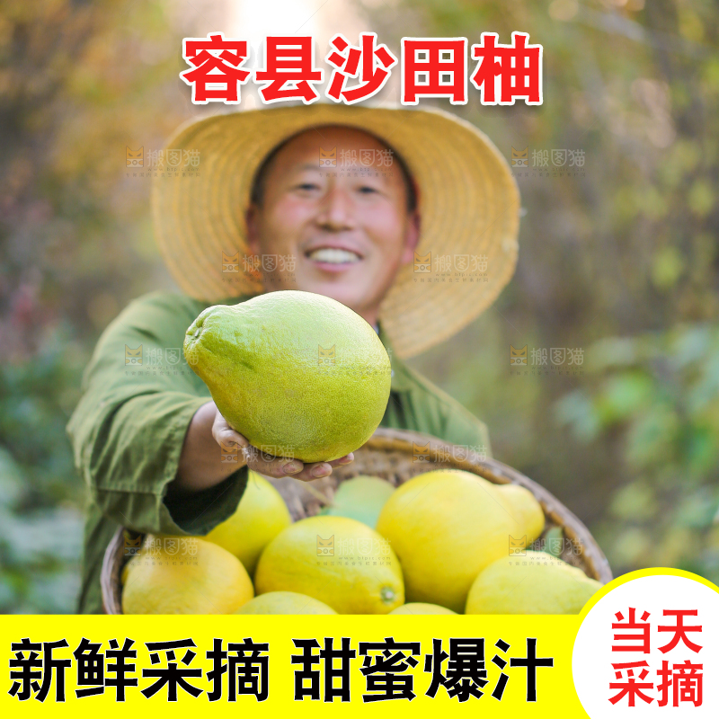 手里拿着沙田柚