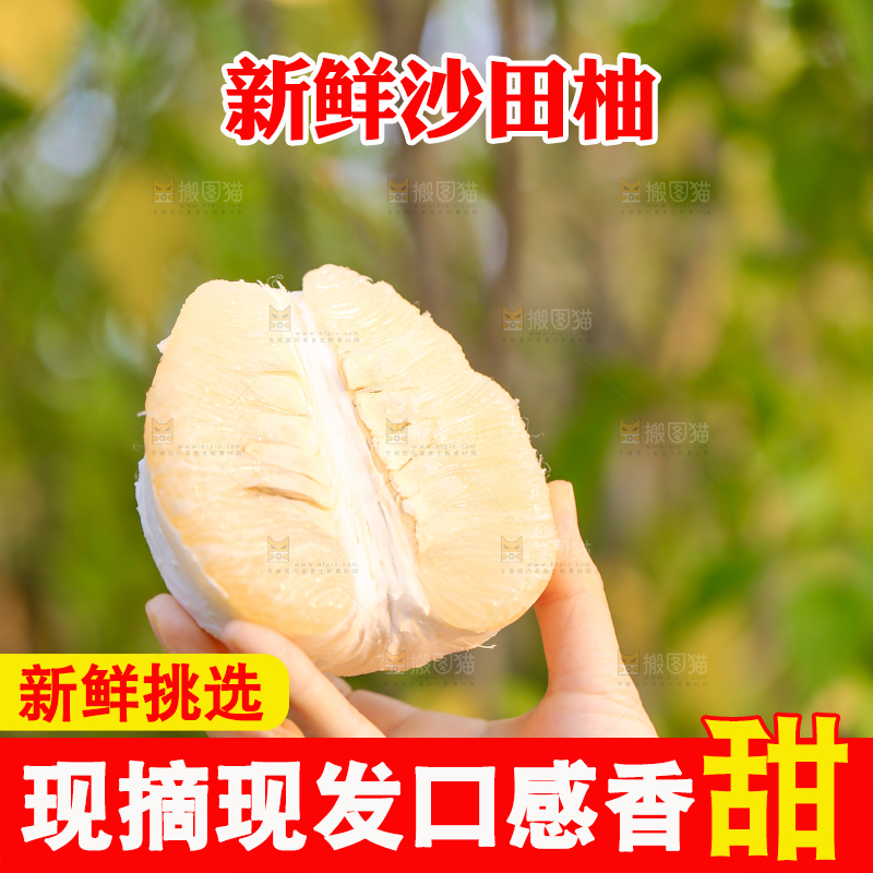 手里拿着沙田柚