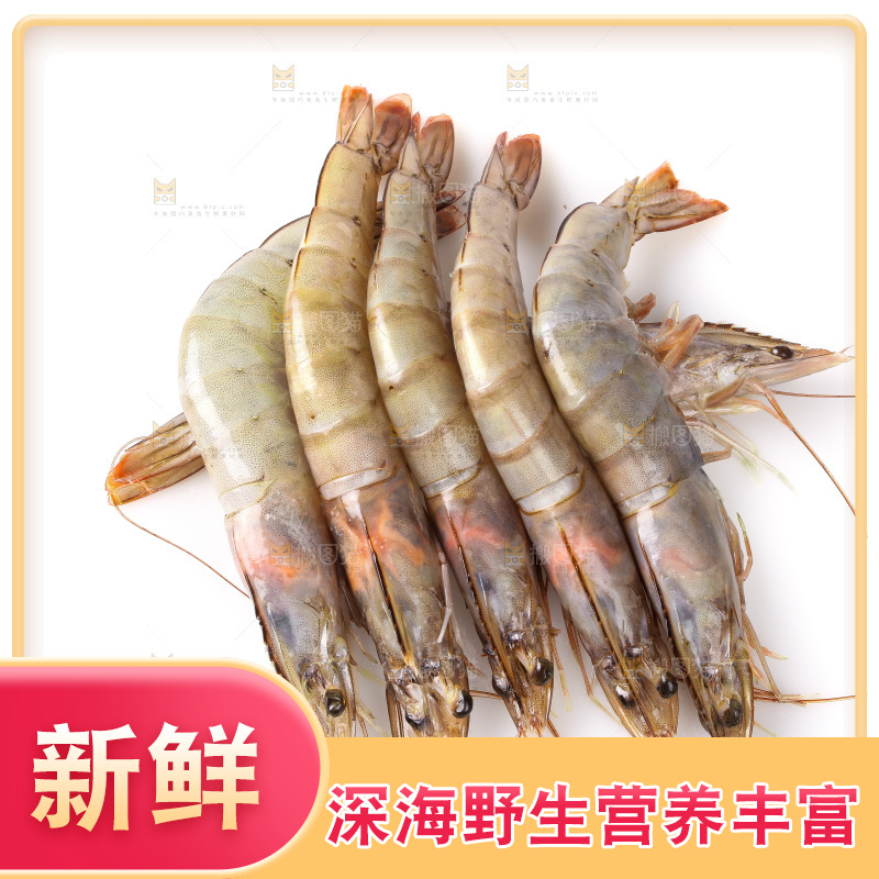 白底上的大虾