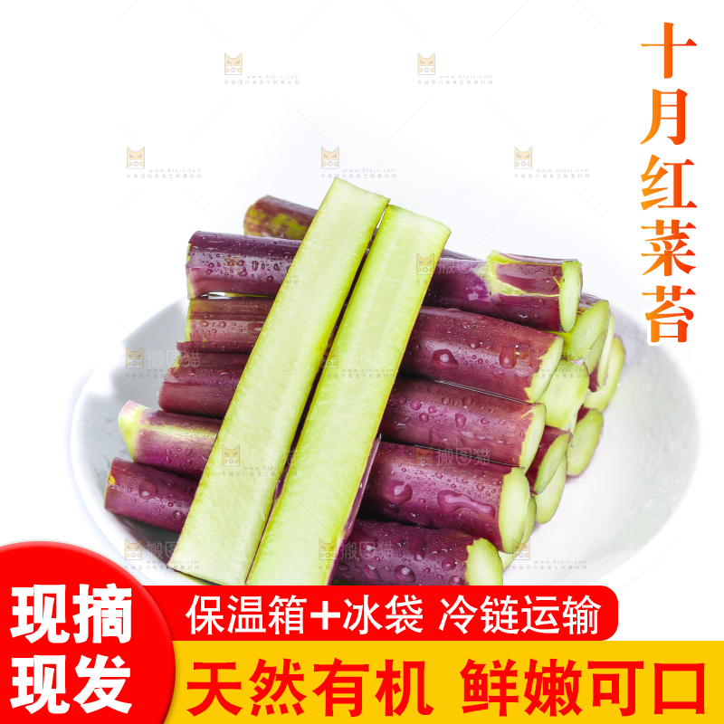 白底上的红菜苔
