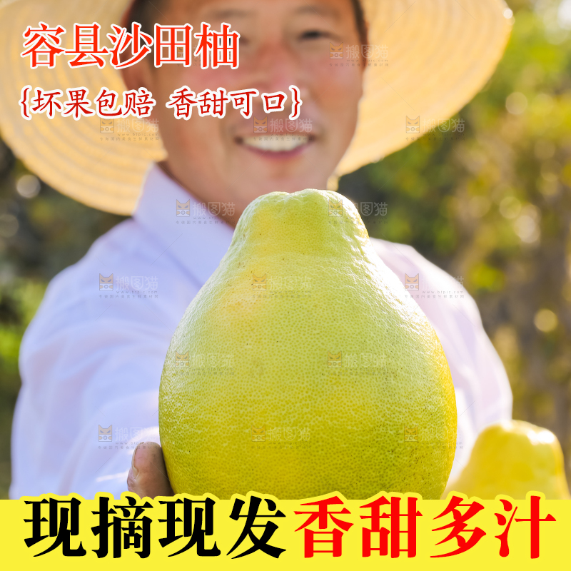 手里拿着沙田柚