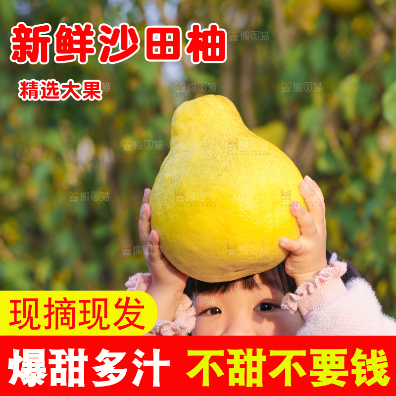 手里拿着沙田柚