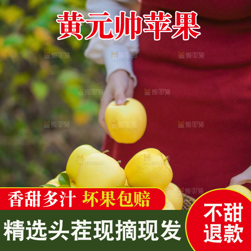 手里拿着黄元帅苹果